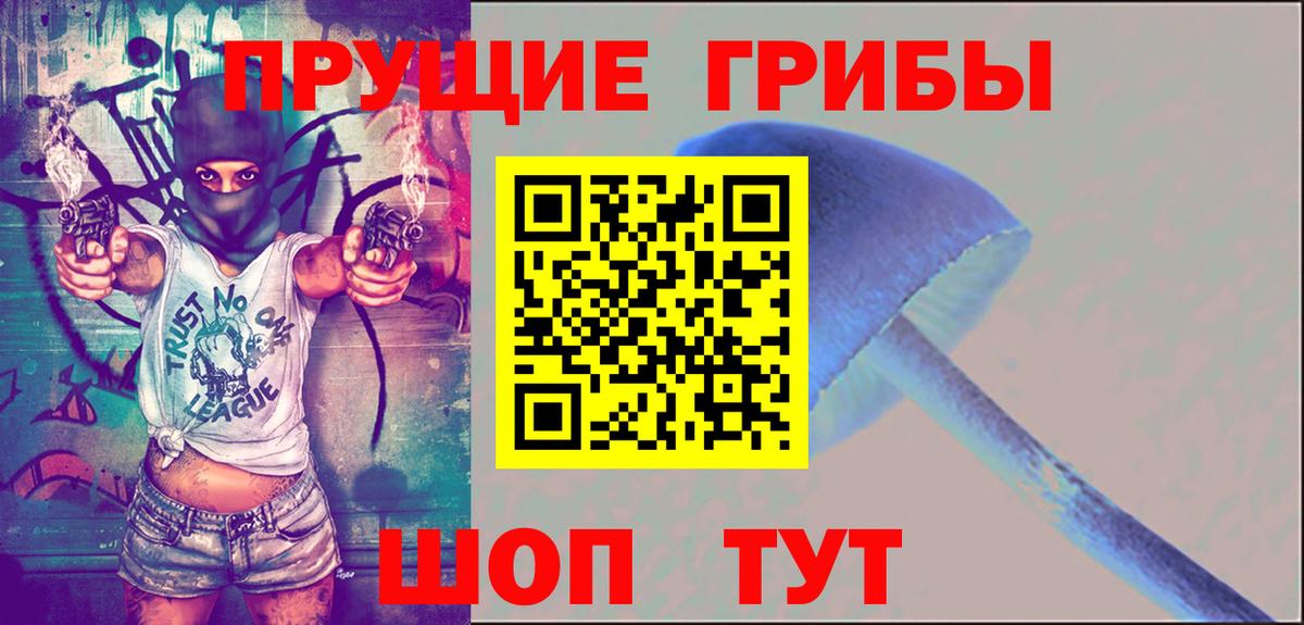 Галлюциногенные грибы мицелий Аргун