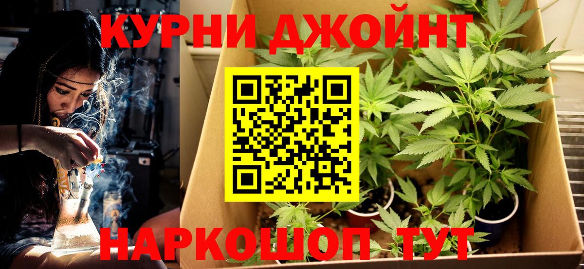 Аргун  Марихуана марихуана  Вход с VPN  Каннабис THC 21%  Марихуана марихуана 